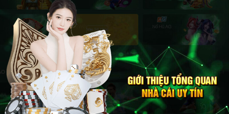 Tìm hiểu phần tổng quan về sân chơi VM888